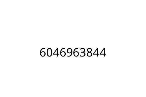 6046963844