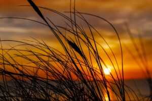 fitness models instagram best female bodies