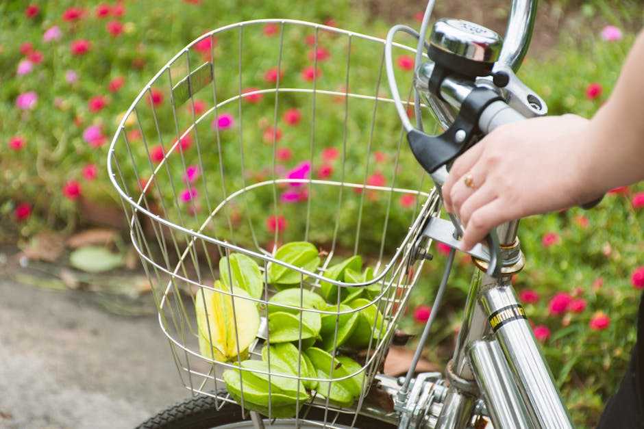 nutrition for long bike rides