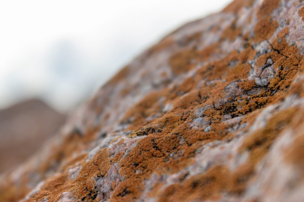 proper way of using 5ah9.6max0 python software