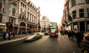 which month is best to visit beevitius