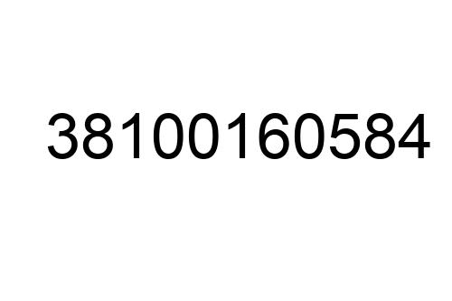 38100160584