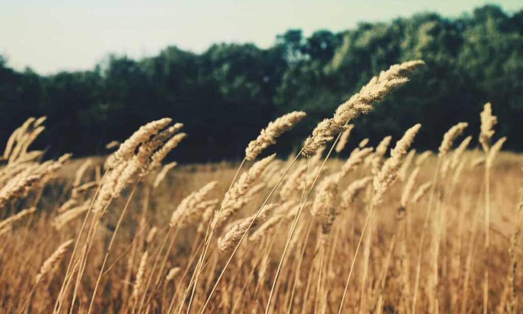 improve software 5984.jfy.587.64 version