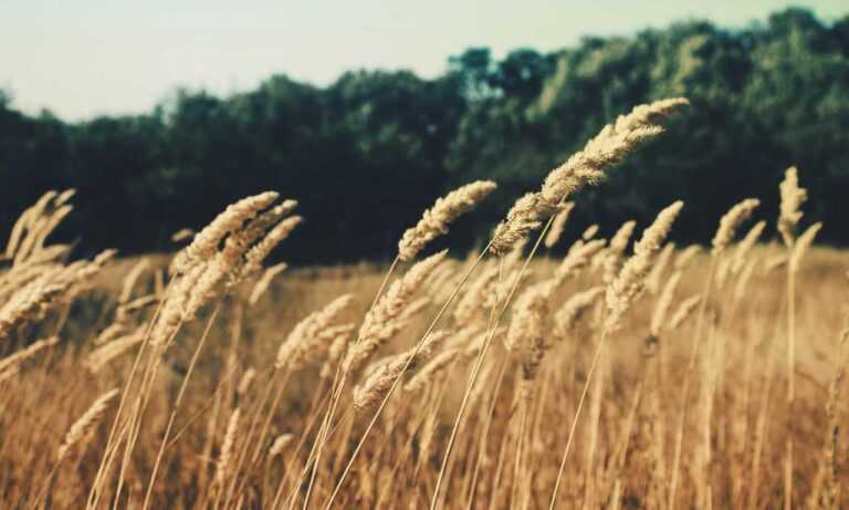 improve software 5984.jfy.587.64 version