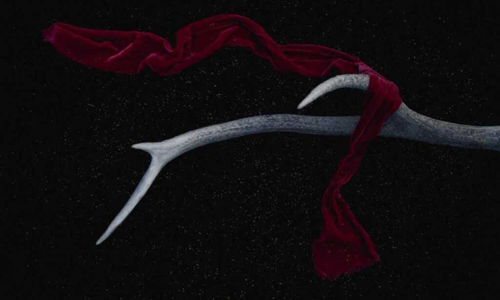 khema rushisvili weightlifting bar