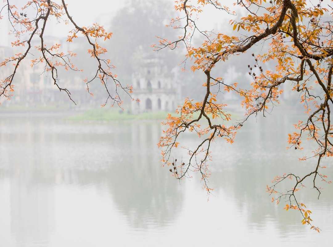 Pros and Cons of Weight Training Fntkgym