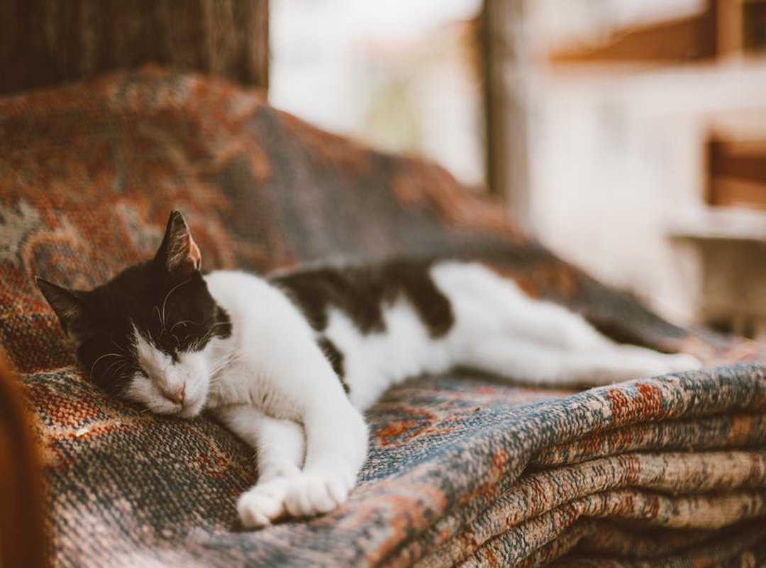 Ways to Take Care of Your Body Fntkgym