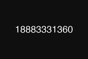 18883331360
