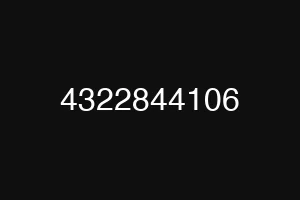 4322844106