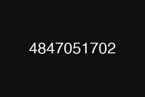 4847051702