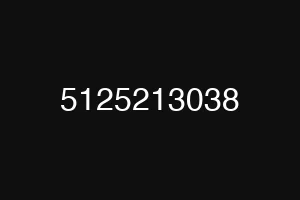 5125213038