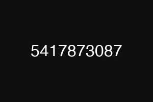 5417873087