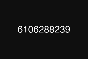 6106288239