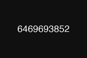 6469693852