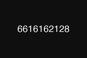 6616162128