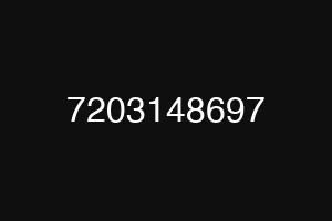 7203148697