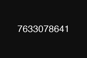 7633078641