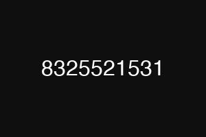 8325521531