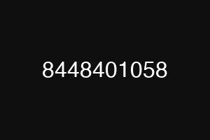 8448401058
