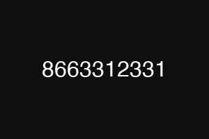8663312331