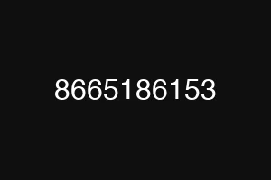 8665186153
