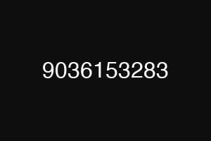 9036153283