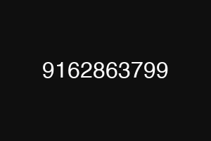 9162863799