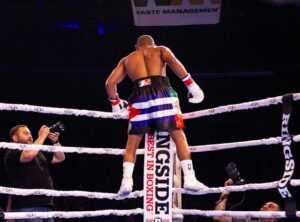 Zumoto Chieloka Boxer