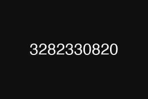3282330820