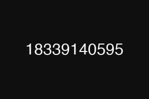 18339140595