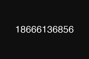 18666136856