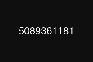 5089361181