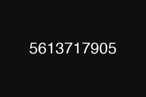 5613717905