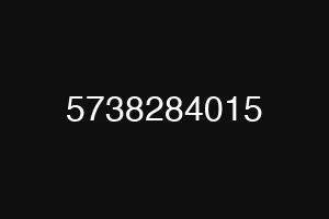 5738284015