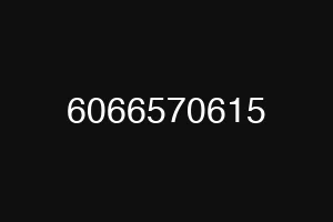 6066570615