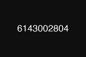 6143002804