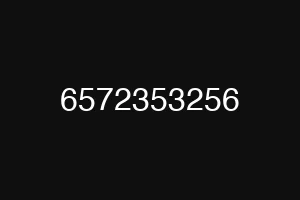 6572353256