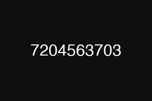 7204563703