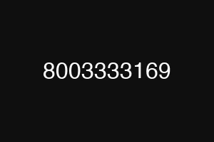 8003333169