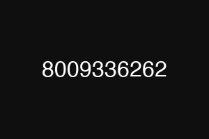 8009336262
