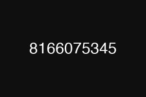 8166075345