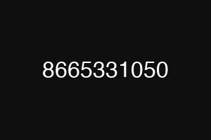 8665331050