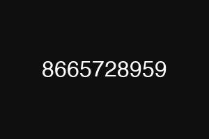 8665728959