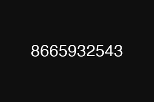 8665932543