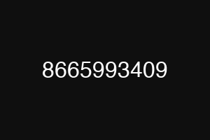 8665993409