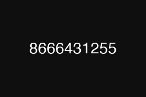 8666431255