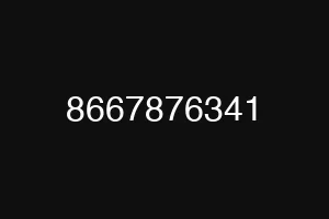 8667876341