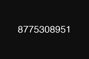 8775308951