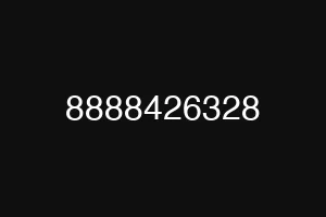 8888426328