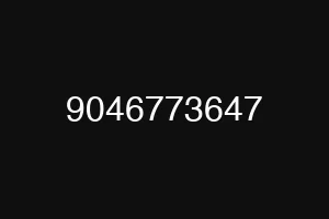 9046773647